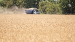На Ставрополье аграрии застраховали около 20% посевов зерновых