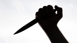 Подростка в Невинномысске задержали по подозрению в убийстве подруги матери