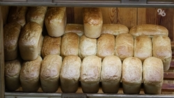 Китайское оборудование планируют закупать для хлебозавода в Ессентуках