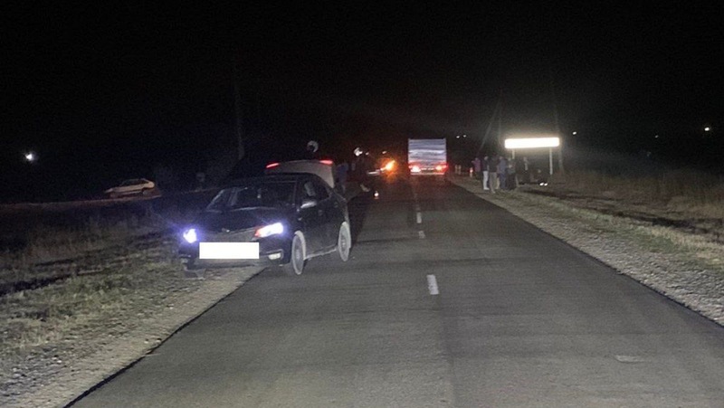 Женщина-пешеход погибла под колёсами Kia на трассе в Шпаковском округе