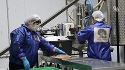 Ставропольский край поднялся в рейтинге регионов по ситуации на рынке труда