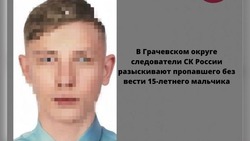 Следственный комитет подключился к поискам пропавшего на Ставрополье подростка