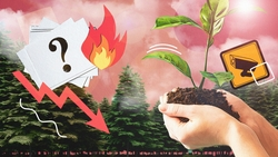 Сажать и сажать: почему Ставропольскому краю нужно больше лесов