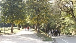  Этнодеревня для туристов появится в Кисловодске в 2027 году 