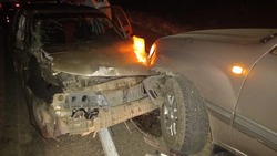 Участниками ночного ДТП на Ставрополье стали ульи и буксируемый автомобиль