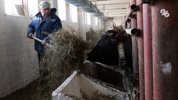 Господдержка сельского хозяйства увеличится на Ставрополье в 2023 году