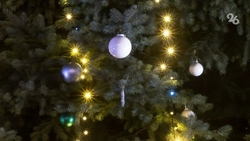 Число броней отелей в Минводах в новогодние праздники выросло на 26%