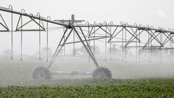 Внедрить систему полива в зерновом хозяйстве планируют в Ипатовском округе