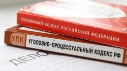 Жителя Михайловска обвинили в переводе нежелательной иностранной организации