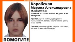 Девочка-подросток в зелёной куртке пропала в Петровском округе 