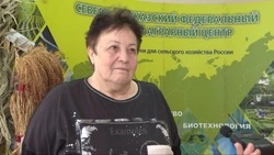 Эксперт Годунова: От опустынивания Ставрополье спасут агростепи и лесополосы