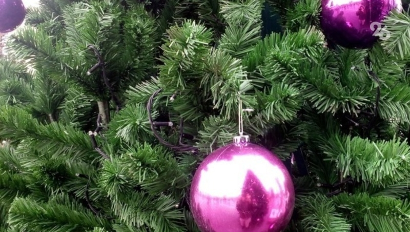 Школьники Петровского округа отправили в Антрацит сладости к Новому году