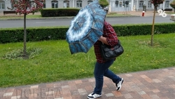 Дождь и шквальный ветер обрушатся на Ставрополье 14 апреля