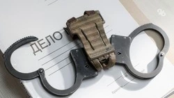 18-летнего жителя Кочубеевского округа обвиняют в экстремизме и повреждении авто
