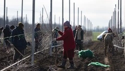 На Ставрополье подсчитали количество жителей села, считающих себя счастливыми