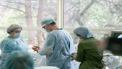 10 сверхплановых трансплантаций проведут ставропольские медики в 2024 году 