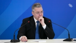 Политолог Фетисов: Глава Ставрополья удивляет экономическими проектами