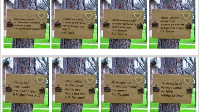 «Лес ментального здоровья» появится в Кисловодске