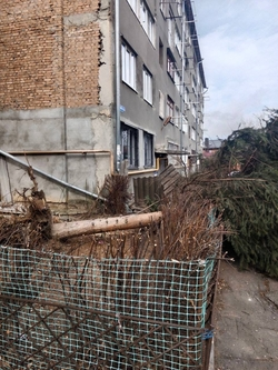 В Кисловодске оперативно убрали упавшую из-за ветра ель