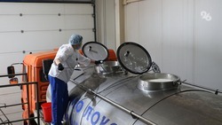 На Ставрополье производители молока получат дополнительную господдержку