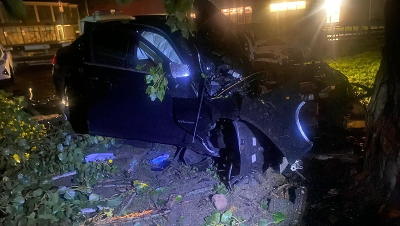 Автомобилист погиб в Зеленокумске, врезавшись в дерево