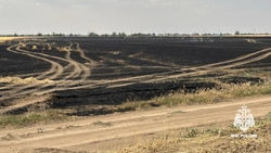 В Левокумском округе тушат охваченное огнём поле пшеницы на 15 га