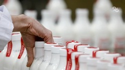 На Ставрополье обнаружили молоко из будущего с растительными жирами 