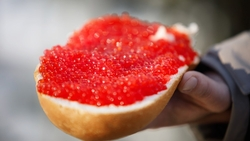 Как не пожалеть о покупке икры, рассказали ставропольцам в Роспотребнадзоре