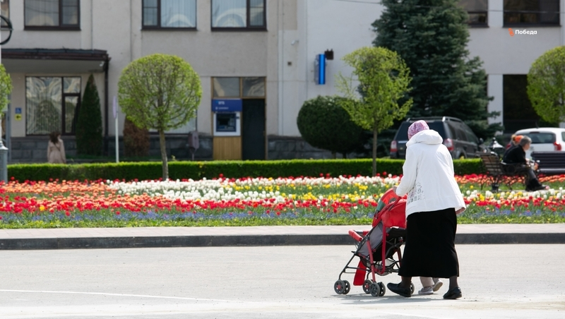 За привлечение бабушек к воспитанию внуков выступает 81 ставропольцев