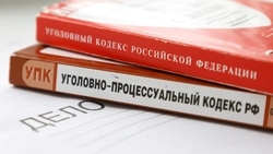 СК России затребовал доклад по делу об убийстве и стрельбе в Северной Осетии