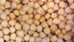 Урожай нута превысил 60 тыс. тонн на Ставрополье в 2025 году