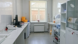 Пятигорские врачи запатентовали жевательную резинку из полыни