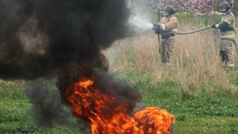 Пожар в лесу Курского округа охватил 17 га