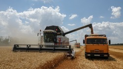 За минувшую неделю аграрии Ставрополья убрали 160 тысяч гектаров зерновых культур