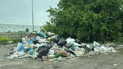 Кучу мусора в Невинномысске призвал убрать Михаил Миненков