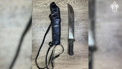 Зарубивший приятеля с помощью мачете пойдёт под суд на Ставрополье