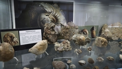 Эксперты СКФУ раскрыли тайны Сарматского моря