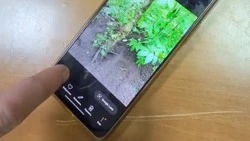 Молодые ставропольцы пытались разложить 125 капсул прегабалина по городу