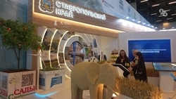 Стенд Ставрополья на Кавказском инвестфоруме стал точкой притяжения молодёжи