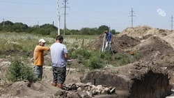 В кисловодском нацпарке обнаружили окаменелые следы динозавра
