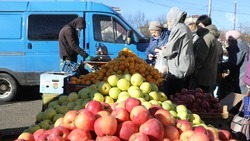 Ставропольским производителям расширят возможности для нестационарной торговли