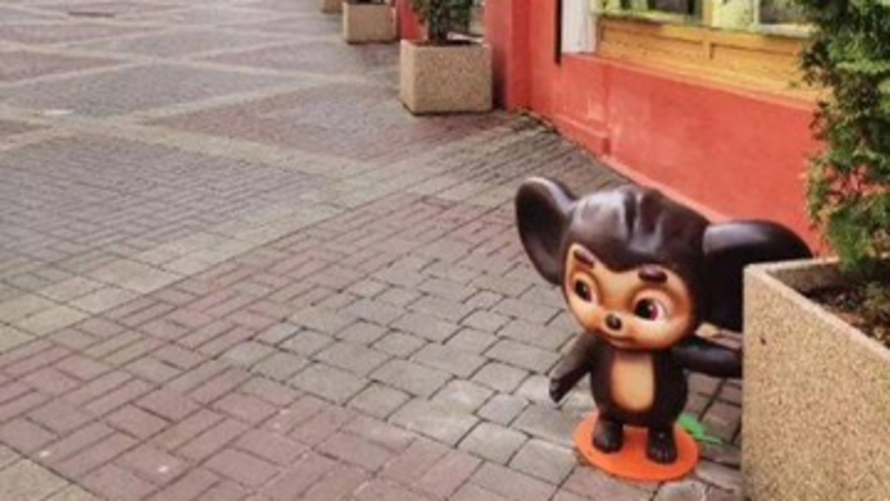 Детям бесплатно проведут экскурсию по местам съёмки «Чебурашки» в Кисловодске