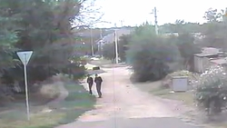 18-летний парень собирался сбыть 37 закладок с наркотиками в Ипатове 