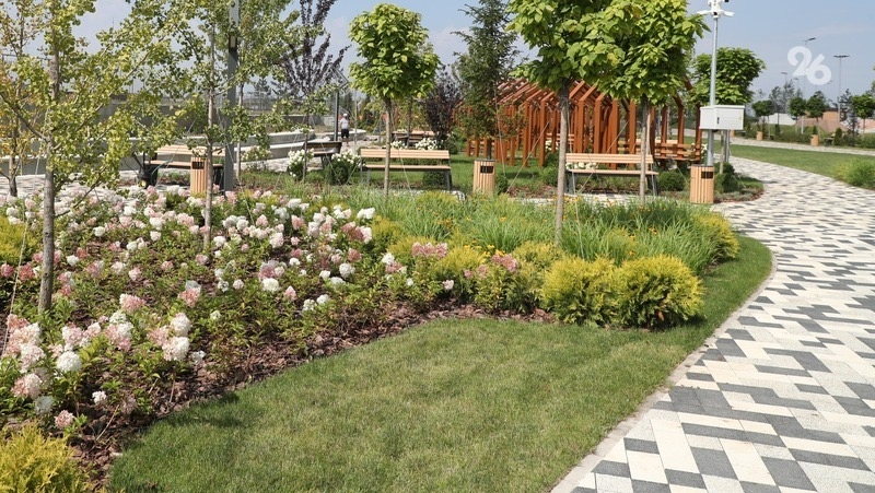 Парк обустроят в ставропольском селе в 2024 году 
