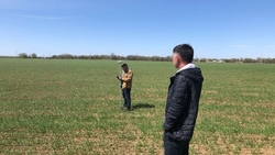 Фермера со Ставрополья подозревают в похищении субсидий на 3,5 млн рублей