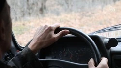 Перед поездкой за рулём не стоит злоупотреблять квасом — врач Михалёва