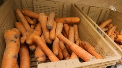 Морковь, картофель и помидоры подорожали на Ставрополье за неделю