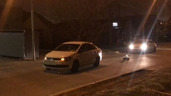 Школьница попала под машину в Ставрополе