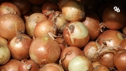 Более 20 тонн лука экспортировали со Ставрополья в Сербию