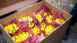 Каждый второй опрошенный ставрополец до 35 лет подарит цветы любимой 14 февраля